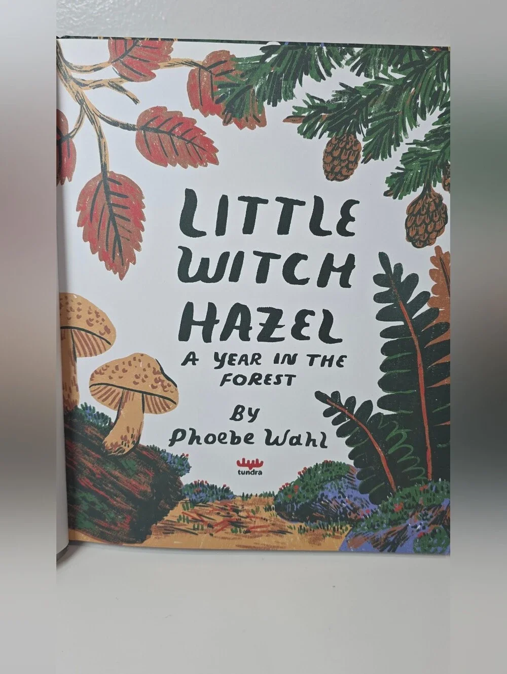 Little Witch Hazel A Year In The Forest